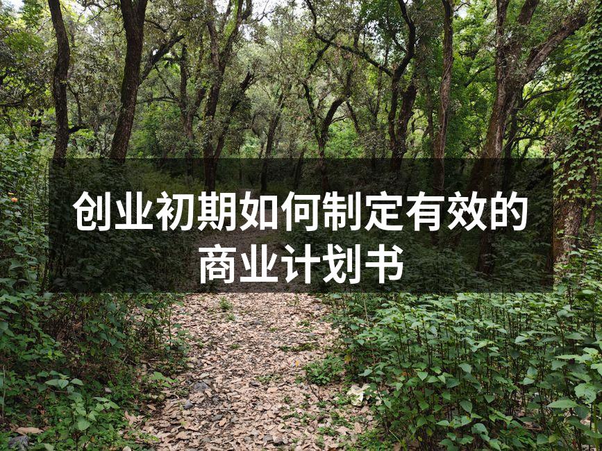 创业初期如何制定有效的商业计划书